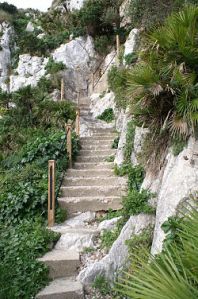 250px-Gibraltar_nature_trail